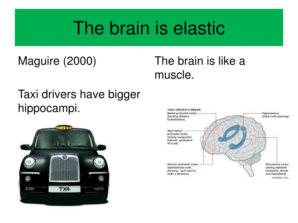 the brain is elastic