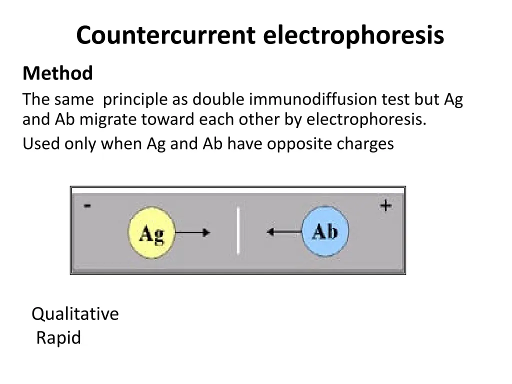 countercurrent electrophoresis