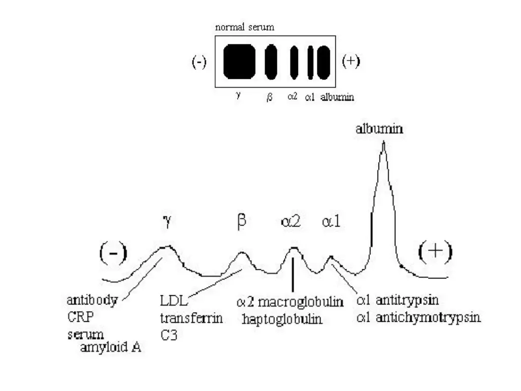 slide17