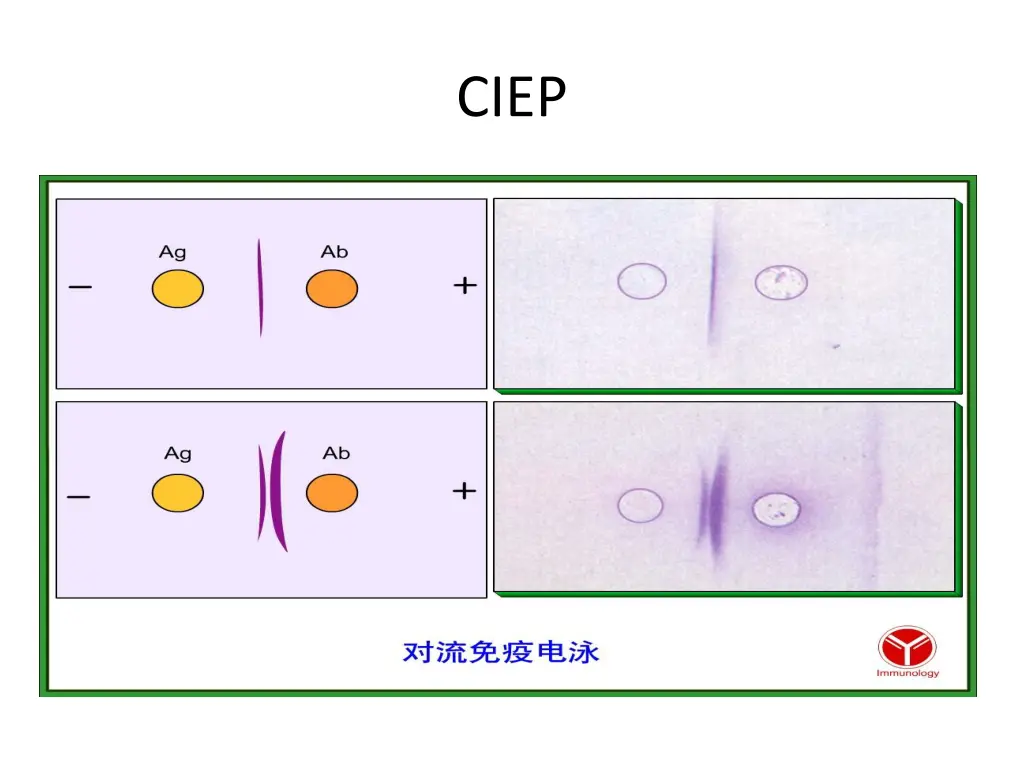 slide21