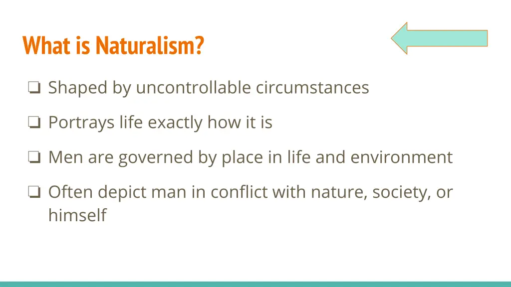 what is naturalism