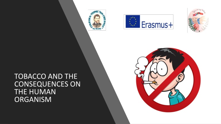 tobacco and the consequences on the human organism