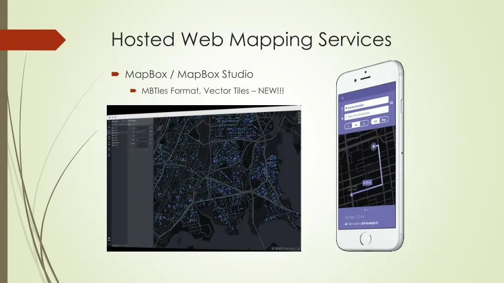 hosted web mapping services 1
