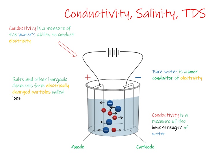 conductivity salinity tds