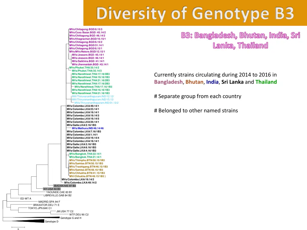 diversity of genotype b3 1