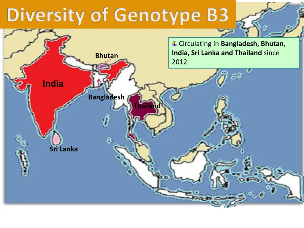 diversity of genotype b3