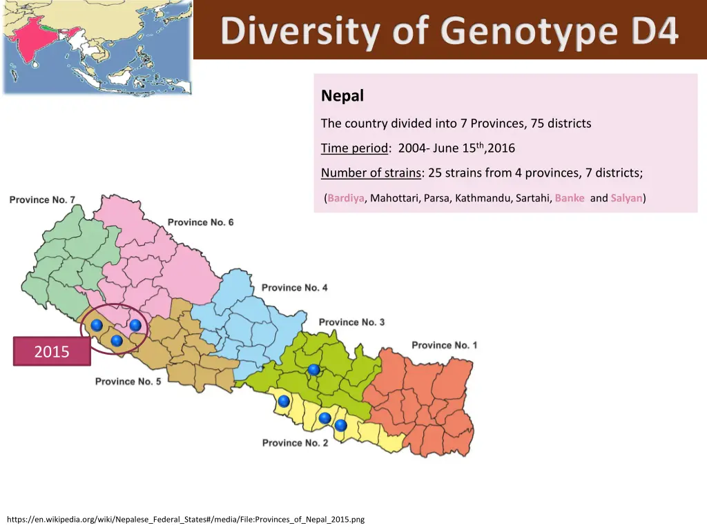 diversity of genotype d4 2