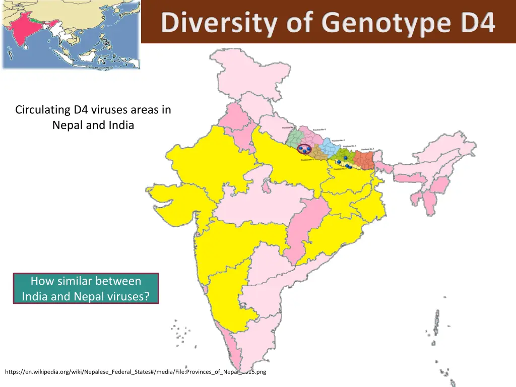 diversity of genotype d4 3