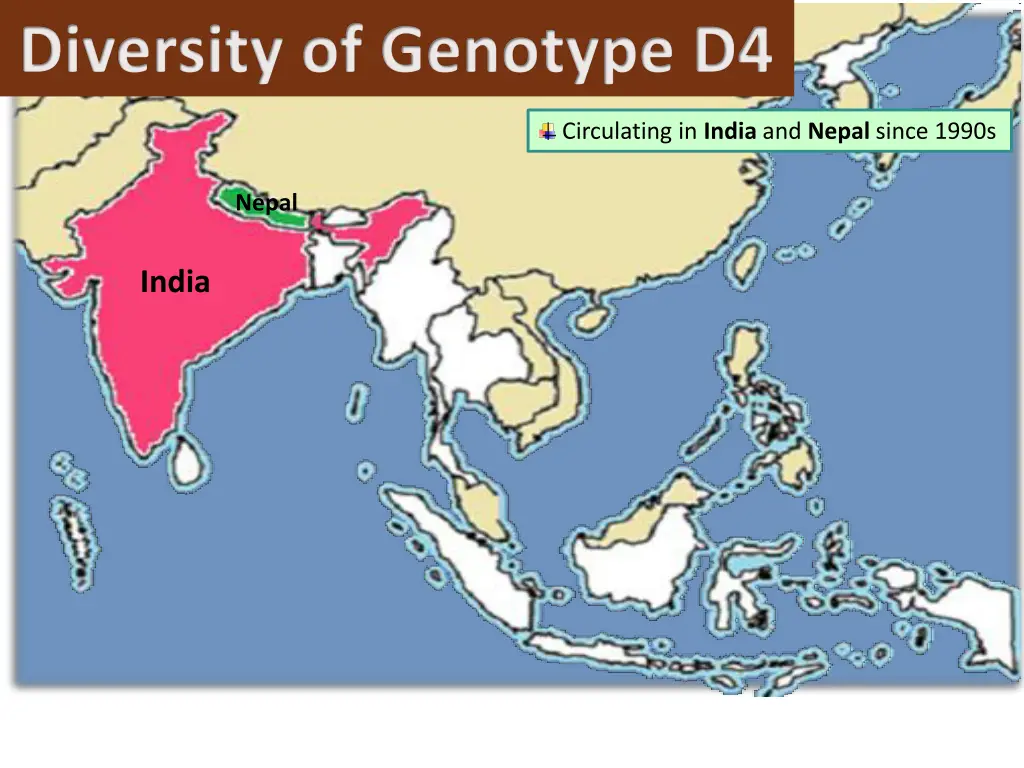 diversity of genotype d4