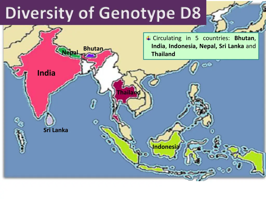 diversity of genotype d8