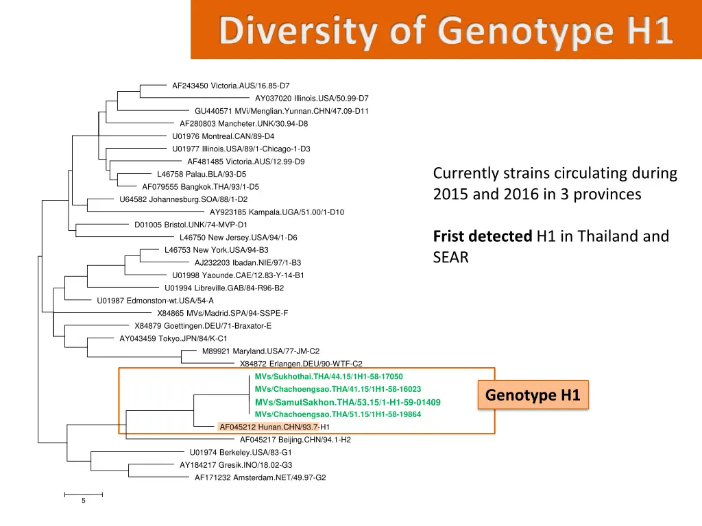 diversity of genotype h1 1