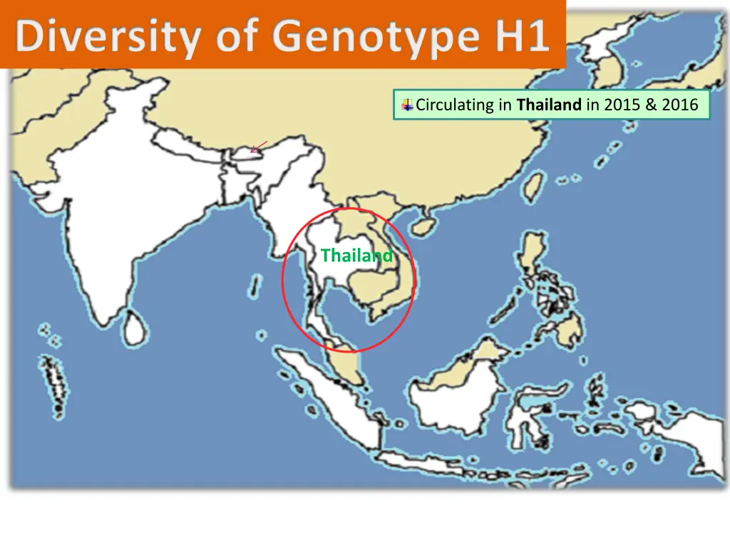 diversity of genotype h1