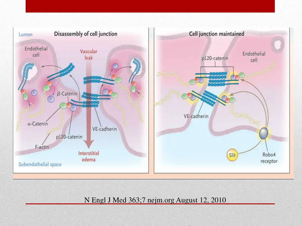 n engl j med 363 7 nejm org august 12 2010