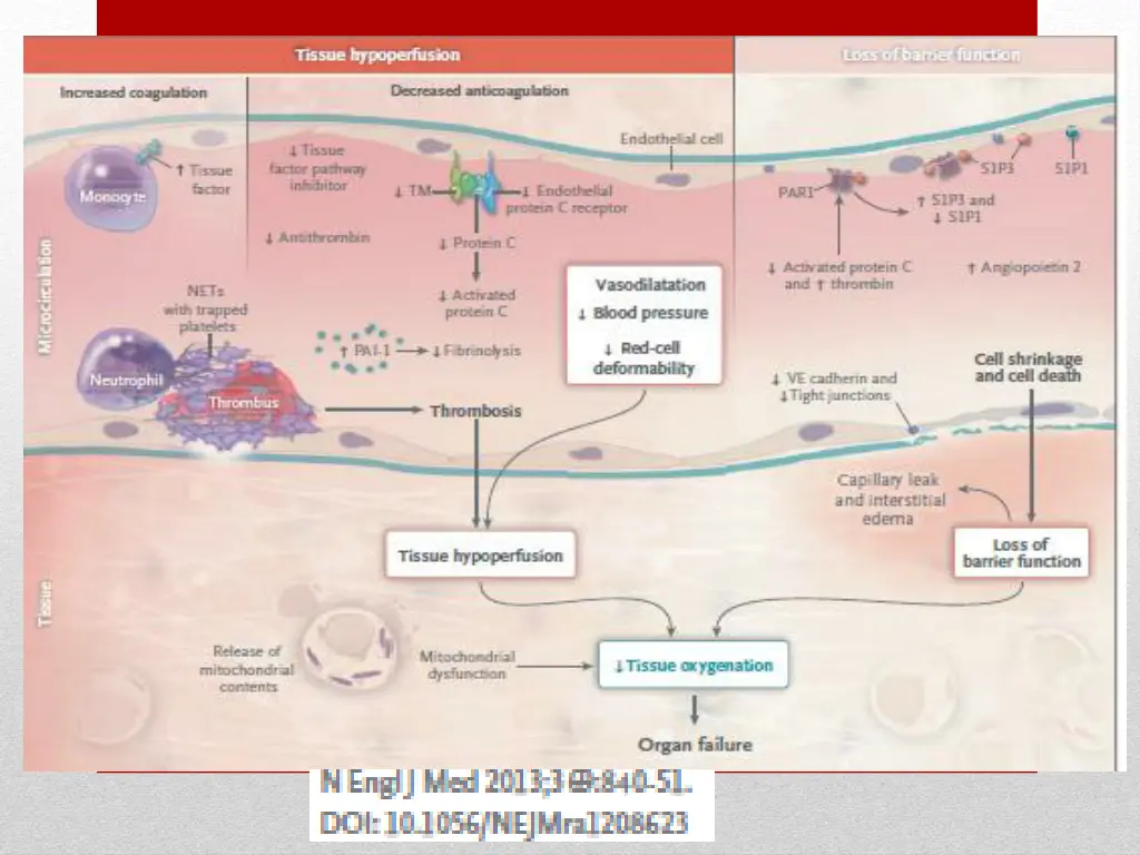 slide7