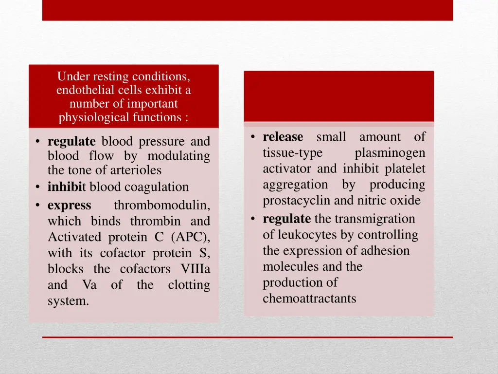 under resting conditions endothelial cells
