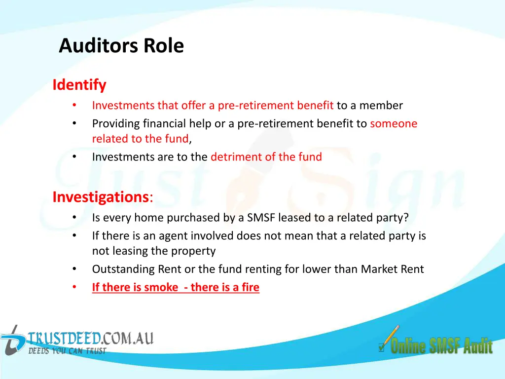 auditors role