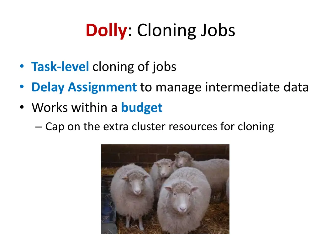 dolly cloning jobs