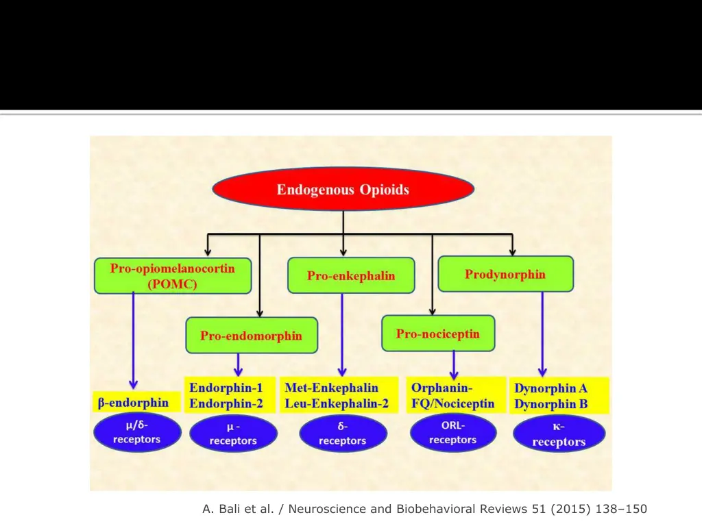 a bali et al neuroscience and biobehavioral