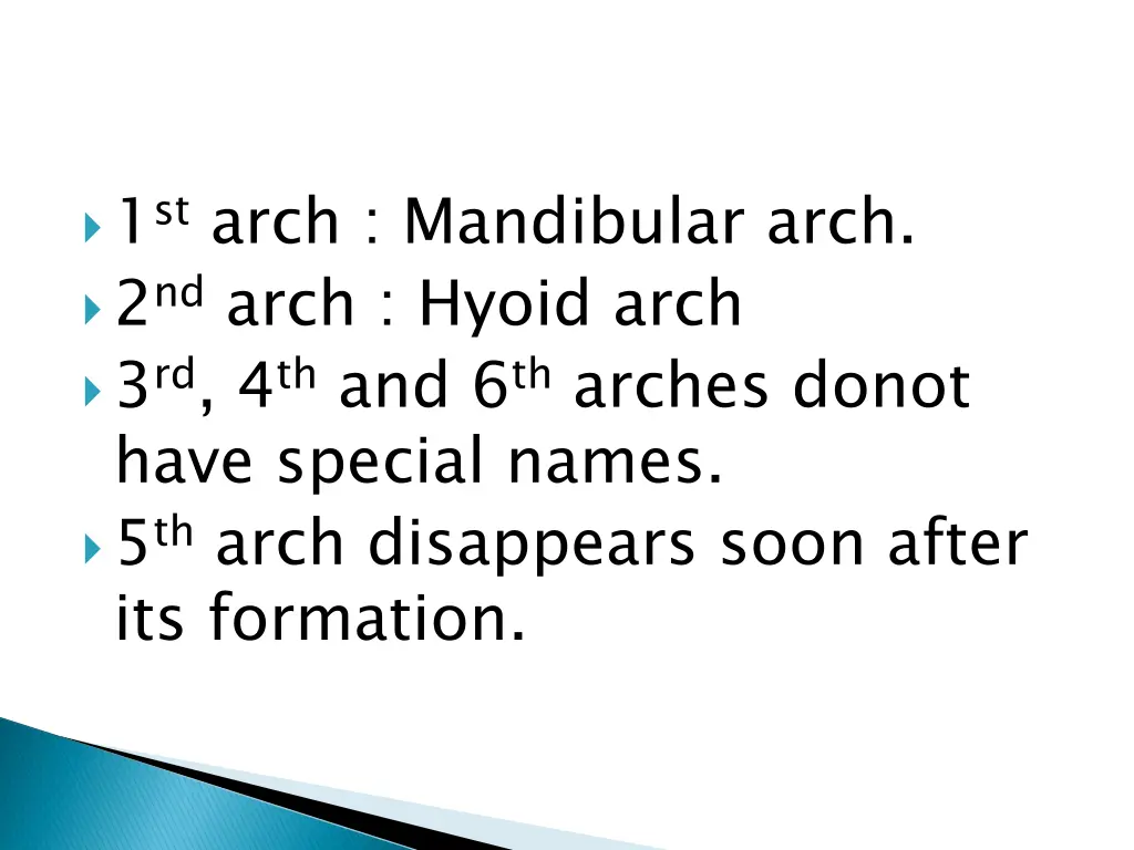 1 st arch mandibular arch 2 nd arch hyoid arch