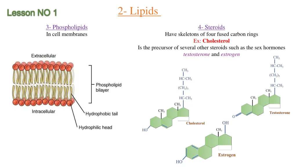 2 lipids