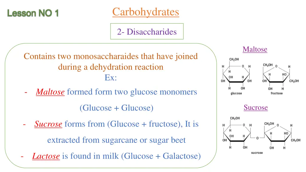 carbohydrates 1