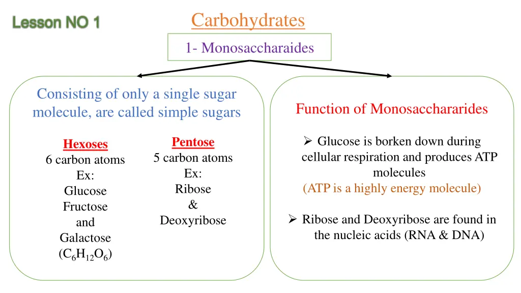 carbohydrates