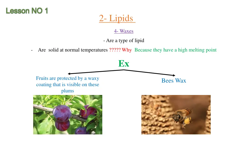 lesson no 1 3