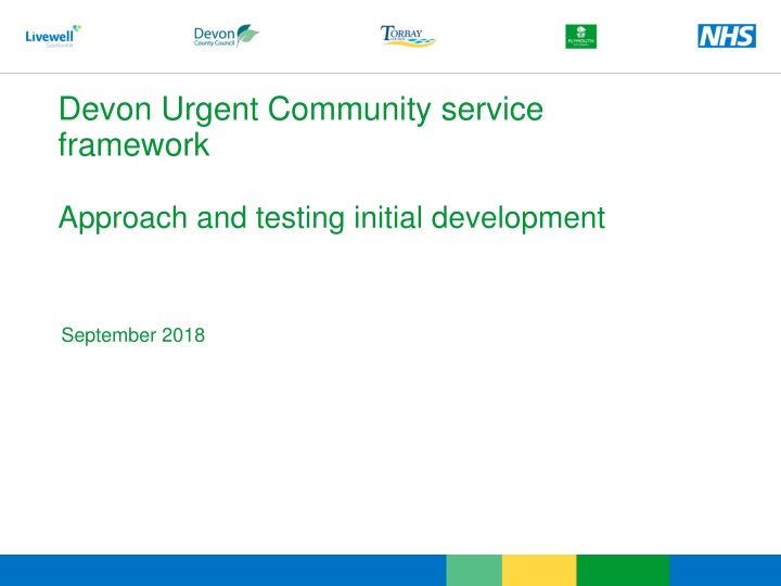 devon urgent community service framework