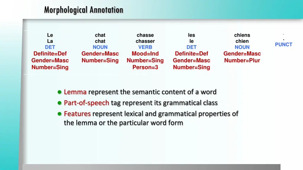 morphological annotation