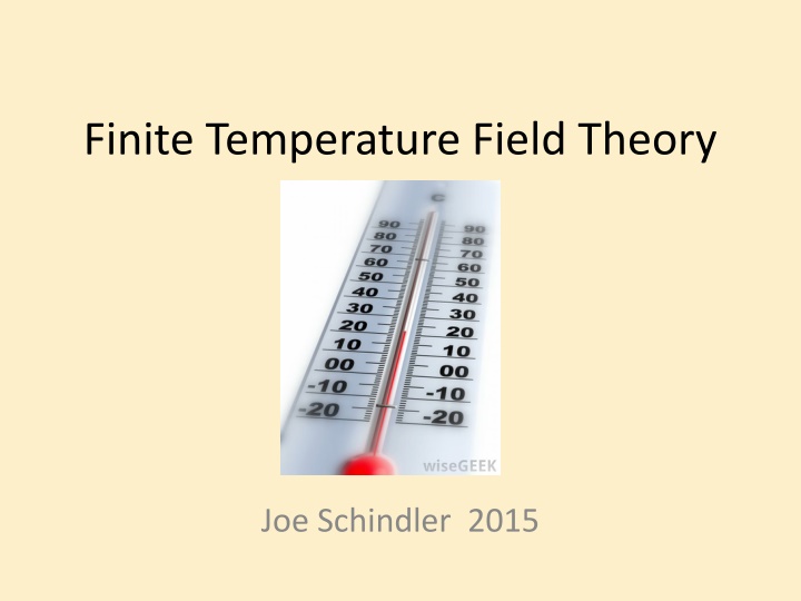 finite temperature field theory