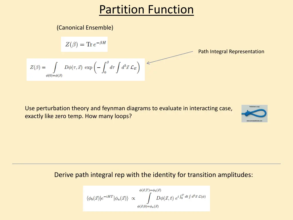 partition function