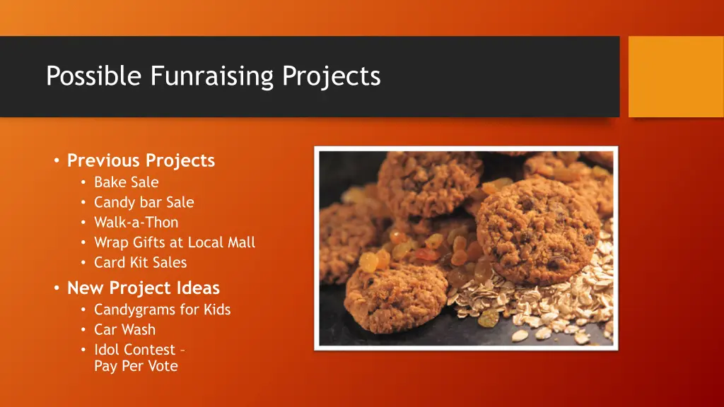 possible funraising projects