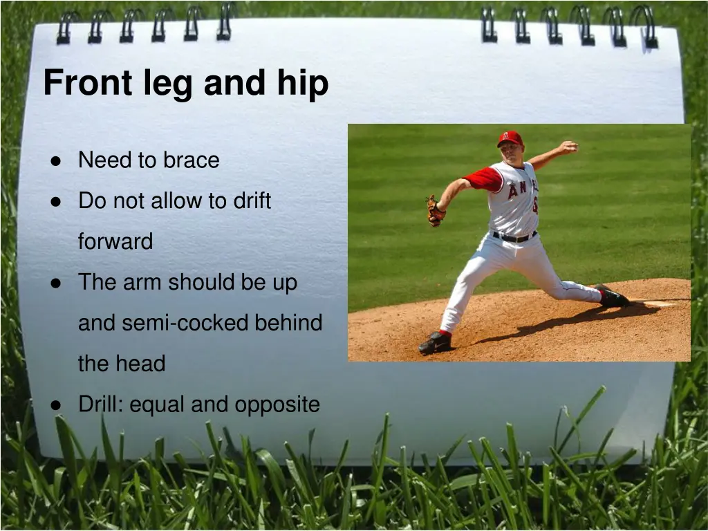 front leg and hip