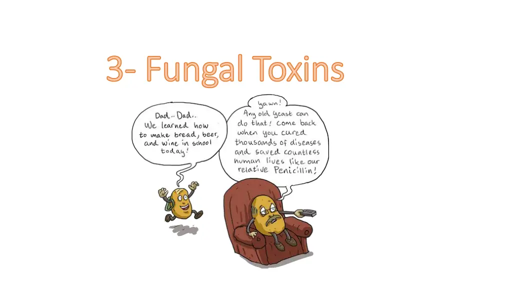 3 3 fungal toxins fungal toxins