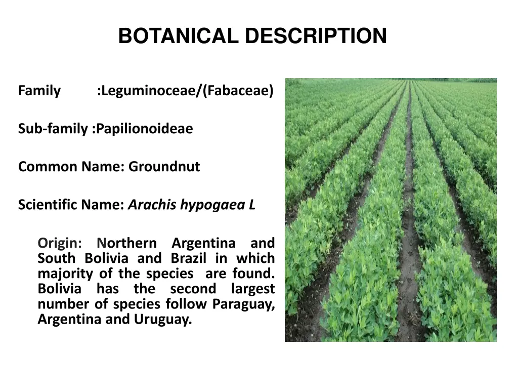 botanical description