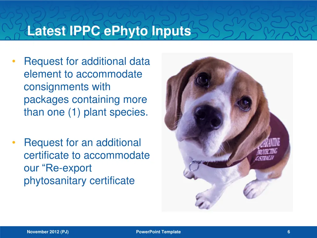 latest ippc ephyto inputs