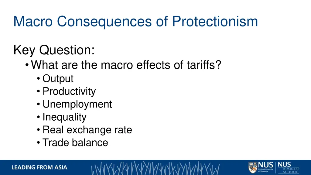 macro consequences of protectionism