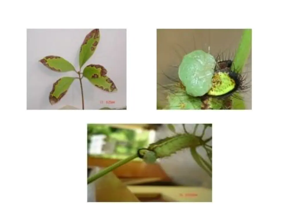 slide5