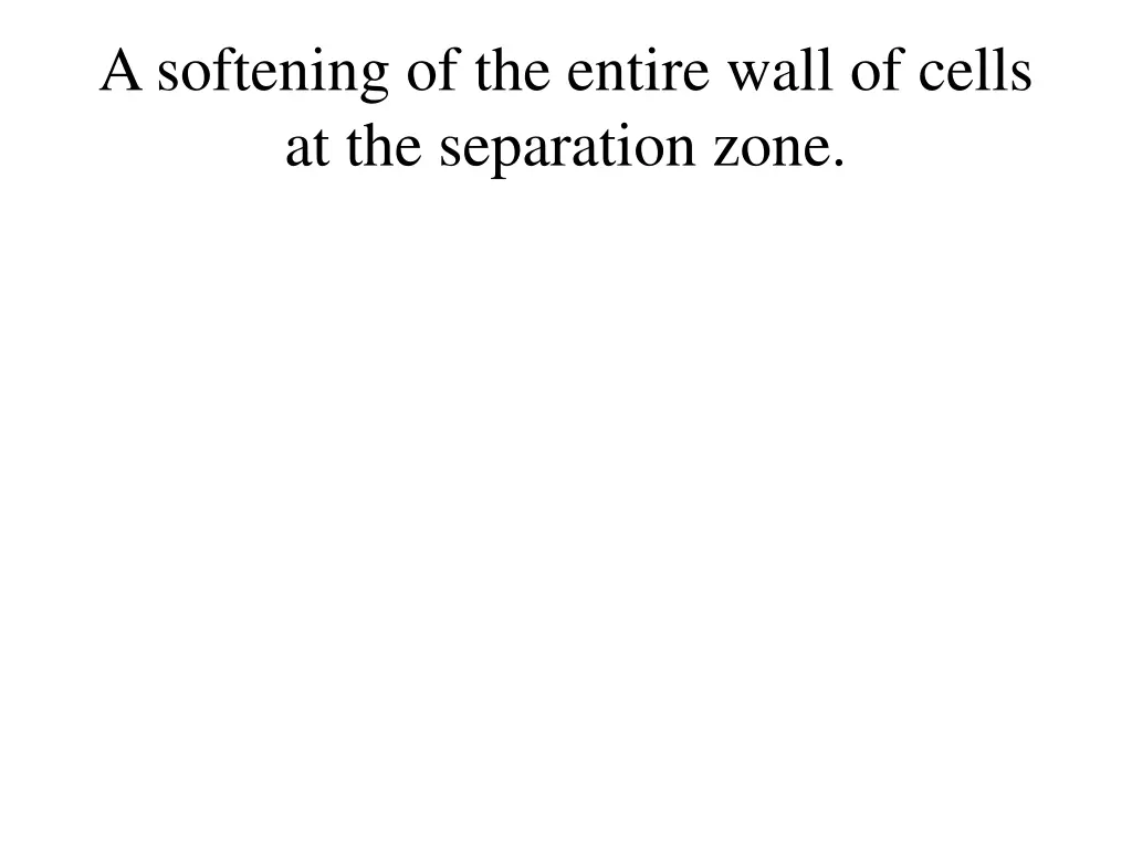 a softening of the entire wall of cells