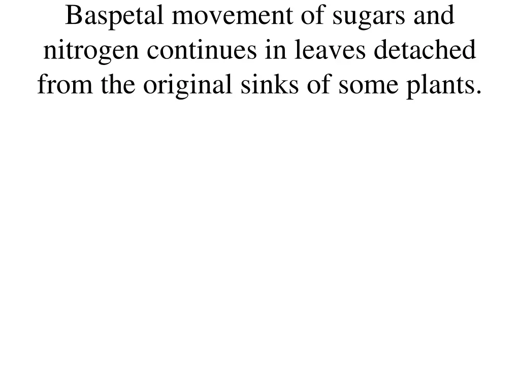 baspetal movement of sugars and nitrogen