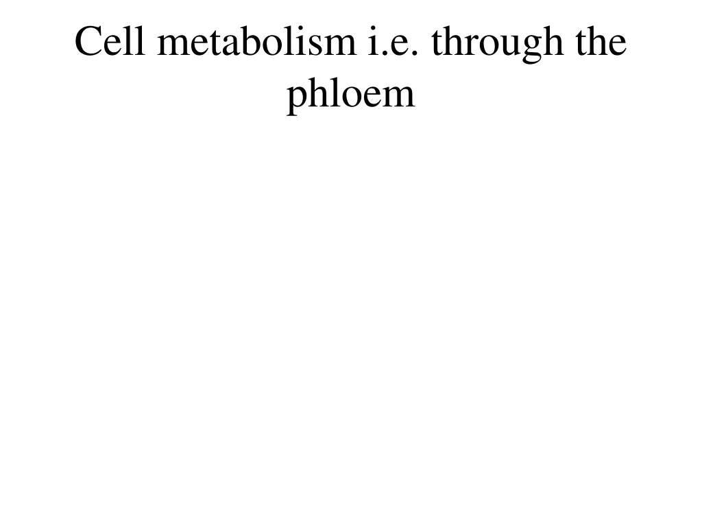 cell metabolism i e through the phloem