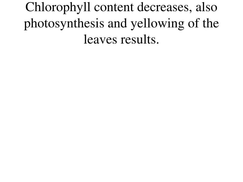 chlorophyll content decreases also photosynthesis