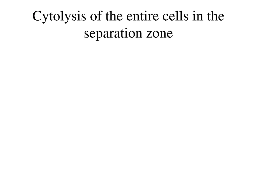 cytolysis of the entire cells in the separation