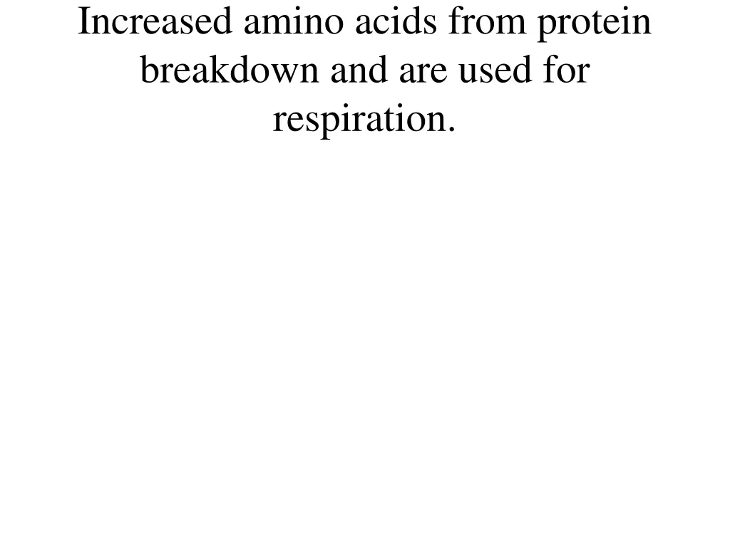 increased amino acids from protein breakdown