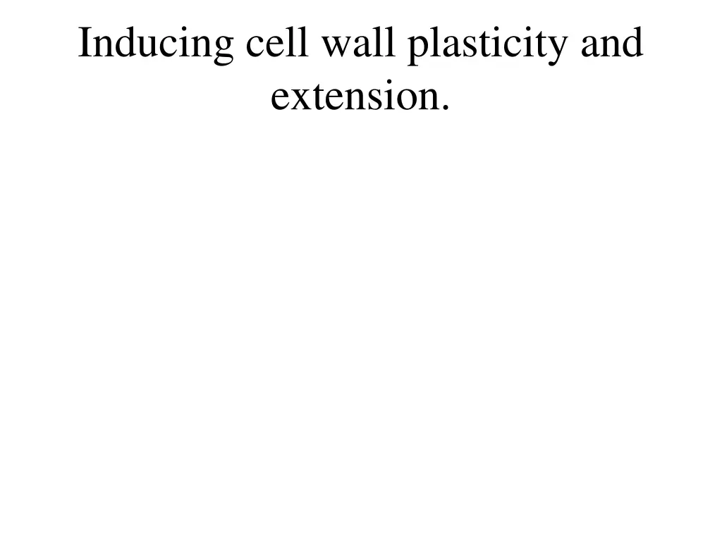 inducing cell wall plasticity and extension