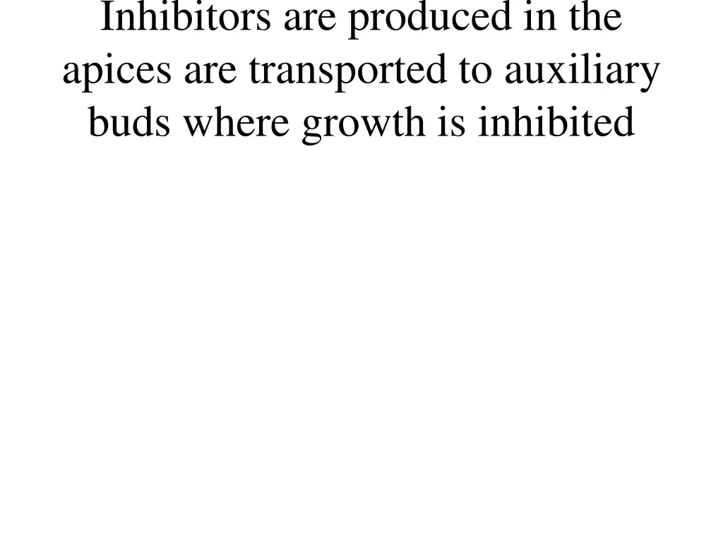inhibitors are produced in the apices