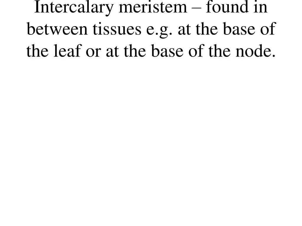intercalary meristem found in between tissues