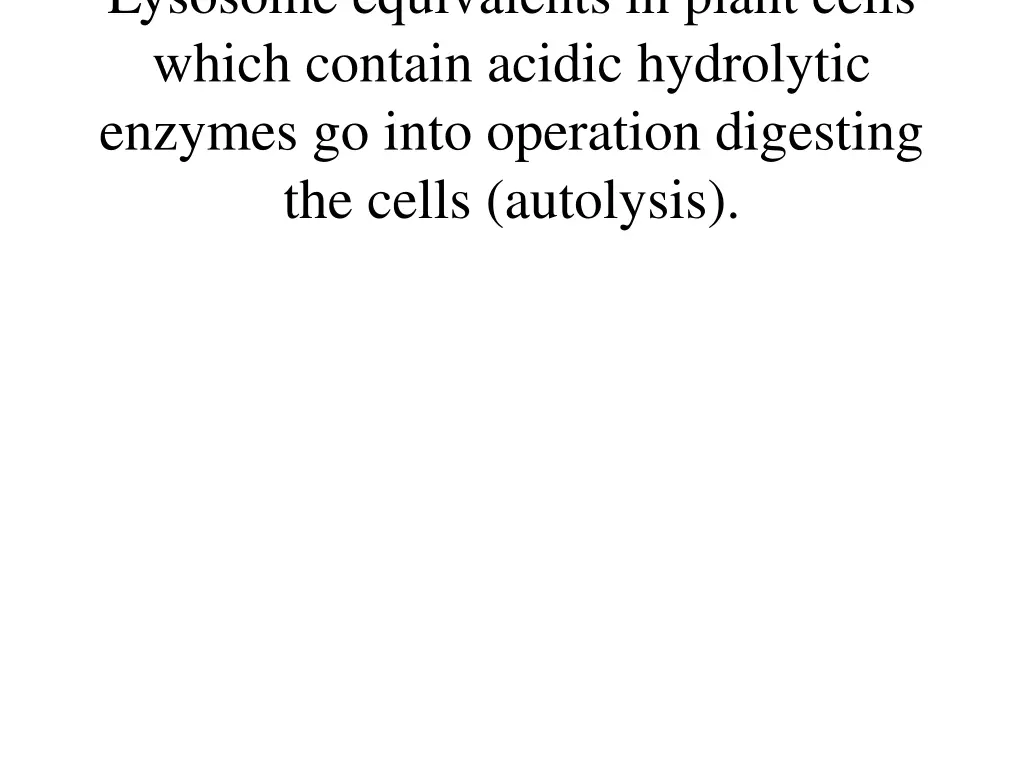 lysosome equivalents in plant cells which contain