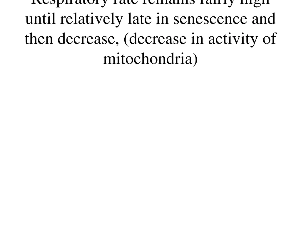 respiratory rate remains fairly high until