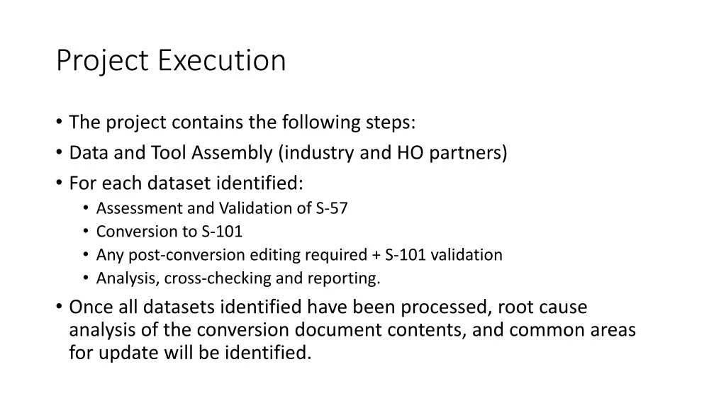 project execution